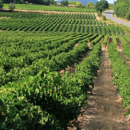 Villa Césarine 4 étoiles, 8 Pers, 4 Chambres, Piscine Privée, Poolhouse, Clim